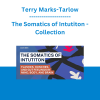 Terry Marks-Tarlow - The Somatics of Intutiton: Flashes, Hunches, and Gut Feelings in Mind, Body, and Brain - Collection