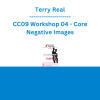 Terry Real - CC09 Workshop 04 - Core Negative Images: Turning Your Worst Enemy into Your Best Friend