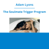 Adam Lyons - The Soulmate Trigger Program