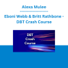 Alexa Mulee, Eboni Webb & Britt Rathbone - DBT Crash Course: Top 20 Tools for Rapid Clinical Impact with Trauma, Anxiety, Addiction, and More