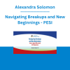 Alexandra Solomon - Navigating Breakups and New Beginnings: How to Apply Relational Self-Awareness - PESI