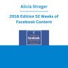Alicia Streger - 2016 Edition 52 Weeks of Facebook Content