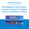 Arielle Schwartz, Abi Blakeslee & Janina Fisher - Somatic Therapy for Complex Trauma Certification Training: Body-Based, Polyvagal & Neurobiological Techniques for Mind-Body Healing