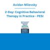 Avidan Milevsky - 2-Day: Cognitive Behavioral Therapy in Practice: Effective Techniques for Treating Anxiety, Depression, Trauma, and Family-Based Turmoil - PESI