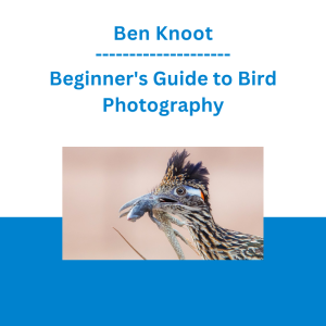Ben Knoot - Beginner's Guide to Bird Photography
