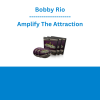 Bobby Rio - Amplify The Attraction
