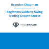 Brandon Chapman - Beginners Guide to Swing Trading Growth Stocks