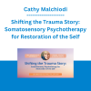 Cathy Malchiodi - Shifting the Trauma Story: Somatosensory Psychotherapy for Restoration of the Self
