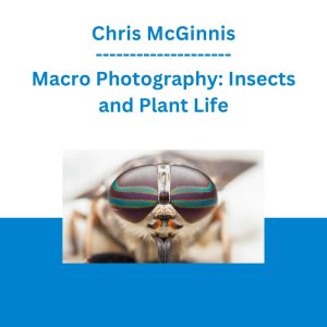 Chris McGinnis - Macro Photography: Insects and Plant Life