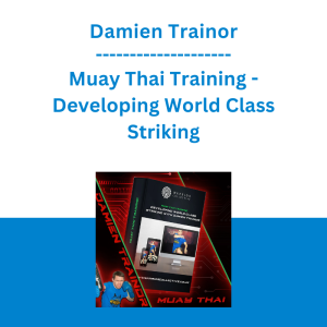 Damien Trainor - Muay Thai Training - Developing World Class Striking