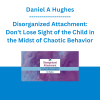 Daniel A Hughes - Disorganized Attachment: Don't Lose Sight of the Child in the Midst of Chaotic Behavior