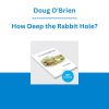 Doug O'Brien - How Deep the Rabbit Hole?