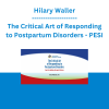 Hilary Waller - The Critical Art of Responding to Postpartum Disorders: Tools for Holding Perinatal Distress - PESI