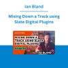 Ian Bland - Mixing Down a Track using Slate Digital Plugins