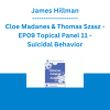 James Hillman, Cloe Madanes & Thomas Szasz - EP09 Topical Panel 11 - Suicidal Behavior