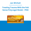 Jan Winhall - Treating Trauma With the Felt Sense Polyvagal Model: Advanced Strategies To Harness the Power of the Body's Natural Healing Process - PESI