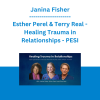 Janina Fisher, Esther Perel & Terry Real - Healing Trauma in Relationships: Expert approaches to overcome attachment wounds, shame, betrayal, and more - PESI