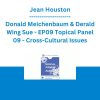 Jean Houston, Donald Meichenbaum & Derald Wing Sue - EP09 Topical Panel 09 - Cross-Cultural Issues