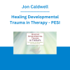 Jon Caldwell - Healing Developmental Trauma in Therapy: The Science of Restoring Self-Regulation - PESI