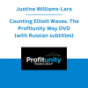Justine Williams-Lara - Counting Elliott Waves. The Profitunity Way DVD (with Russian subtitles)