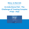 Mary Jo Barrett & Linda Stone Fish - The Challenge of Treating Complex PTSD: What to do When Things Get Messy and Uncomfortable - PESI