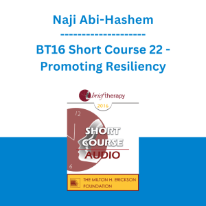 Naji Abi-Hashem - BT16 Short Course 22 - Promoting Resiliency: integrating the Mental-Emotional, Socio-Cultural, and Spiritual Existential Aspects in Short Term Care