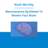 Noah Merriby - Neuroscience Synthesis To Rewire Your Brain