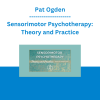 Pat Ogden - Sensorimotor Psychotherapy: Theory and Practice