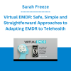 Sarah Freeze - Virtual EMDR: Safe, Simple and Straightforward Approaches to Adapting EMDR to Telehealth