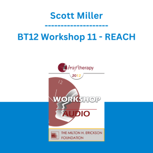 Scott Miller - BT12 Workshop 11 - REACH: Pushing your Clinical Effectiveness to the Next Level