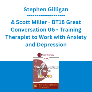 Stephen Gilligan & Scott Miller - BT18 Great Conversation 06 - Training Therapist to Work with Anxiety and Depression