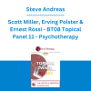 Steve Andreas, Scott Miller, Erving Polster & Ernest Rossi - BT08 Topical Panel 11 - Psychotherapy: Art or Science