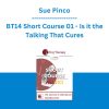 Sue Pinco - BT14 Short Course 01 - Is it the Talking That Cures: Utilizing Silence to Make Therapy More Experiential and Improve Outcomes