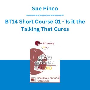 Sue Pinco - BT14 Short Course 01 - Is it the Talking That Cures: Utilizing Silence to Make Therapy More Experiential and Improve Outcomes