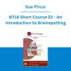 Sue Pinco - BT18 Short Course 23 - An Introduction to Brainspotting: A Revolutionary Therapy for Rapid and Effective Change