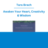 Tara Brach - Awaken Your Heart, Creativity & Wisdom