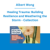 Albert Wong - Healing Trauma: Building Resilience and Weathering the Storm - Collection