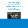 Albert Wong - Somatic Approaches to Healing Trauma