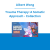 Albert Wong - Trauma Therapy: A Somatic Approach - Collection