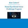 Alex Cattoni - Posse Eye Brand Voice Challenge Program