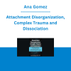Ana Gomez - Attachment Disorganization, Complex Trauma and Dissociation: Practical Case Conceptualization for Clinical Breakthroughs
