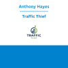 Anthony Hayes - Traffic Thief