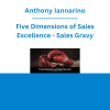 Anthony Iannarino - Five Dimensions of Sales Excellence - Sales Gravy