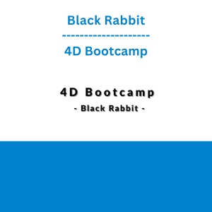 Black Rabbit - 4D Bootcamp