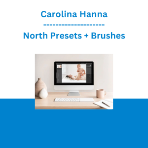 Carolina Hanna - North Presets + Brushes