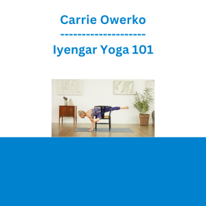 Carrie Owerko - Iyengar Yoga 101