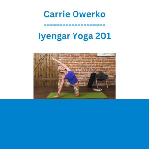 Carrie Owerko - Iyengar Yoga 201