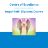 Centre of Excellence - Angel Reiki Diploma Course