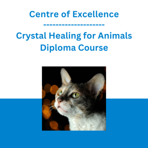 Centre of Excellence - Crystal Healing for Animals Diploma Course
