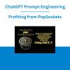 ChatGPT Prompt Engineering - Profiting from PopSockets: Monetize the Hottest Aesthetics for PopSocket Designs with DALL-E 3